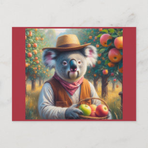 Koala Apple Orchard Postcard