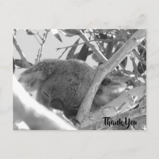 Koala asleep, black & white photograph, Australia Postcard