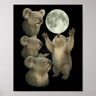Koala Australia Animals Day Shirt Funny For Women, Poster