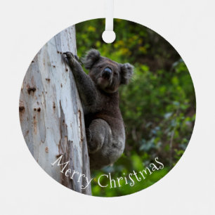 Koala Australia Merry Christmas Metal Tree Decoration