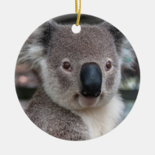 Koala Australian Ceramic Ornament