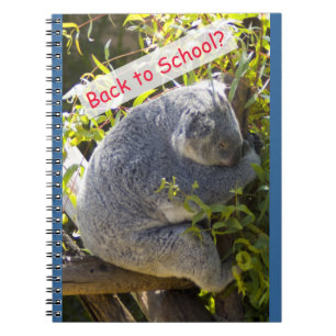 Koala Back to School Notebook
