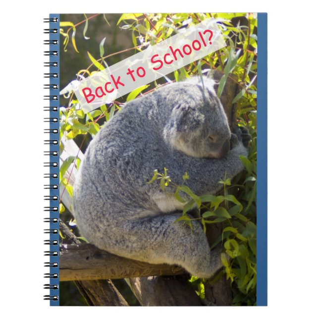 Koala Back to School Notebook (Front)