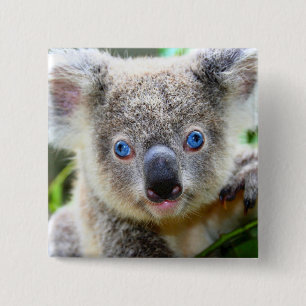 Koala Bear 15 Cm Square Badge