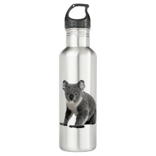 Koala Bear 710 Ml Water Bottle
