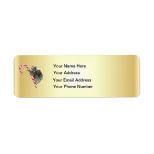 Koala Bear and Joey Cub Candy Cane Return Address Label