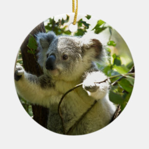 Koala Bear Aussi Safari Peace Love Nature Destiny Ceramic Ornament