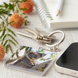 Koala Bear Aussi Safari Peace Love Nature Destiny Key Ring