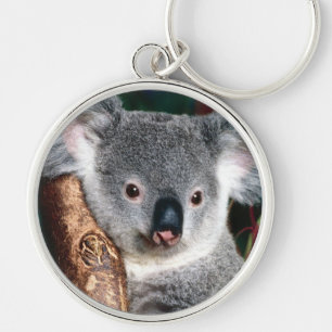 Koala Bear Australia Outback Country Animal Cute Key Ring