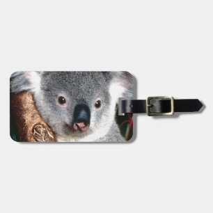 Koala Bear Australia Outback Country Animal Cute Luggage Tag