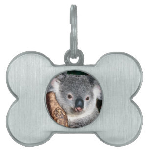Koala Bear Australia Outback Country Animal Cute Pet ID Tag