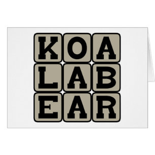 Koala Bear, Australian Marsupial