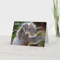 Koala Bear & Baby Mother's Day /All Occasion Card