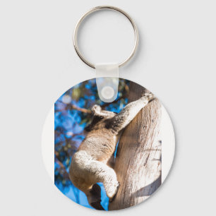 koala bear climbing tree in Australia Key Ring