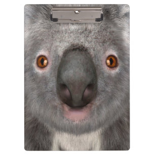 Koala Bear Clipboard