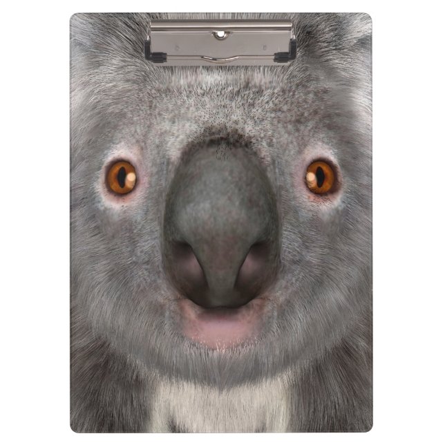 Koala Bear Clipboard (Front)