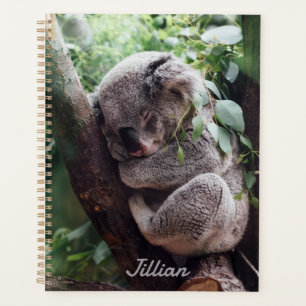 Koala Bear, Cute Animals, Name Annual Planner
