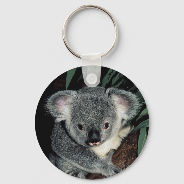 Koala Bear Cute Key Ring (Front)
