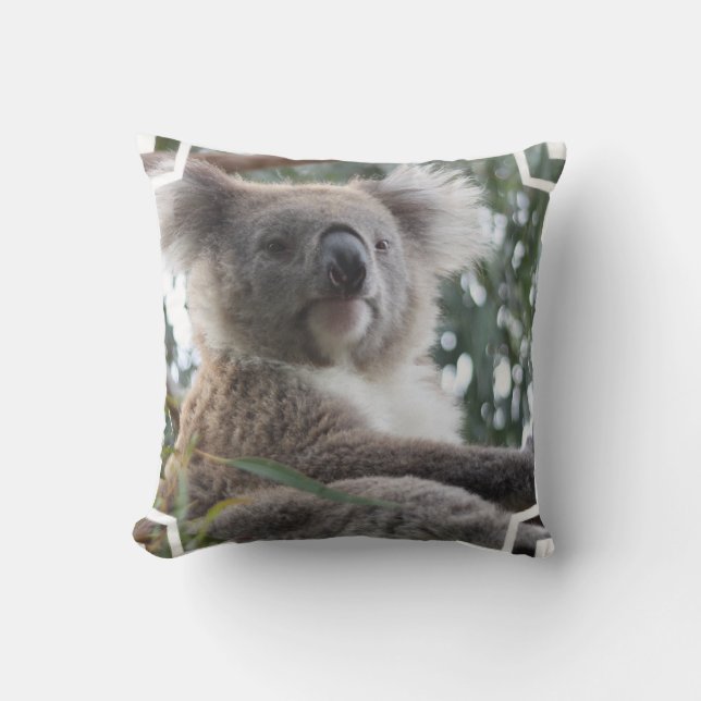 Koala Bear Facts Pillow (Front)