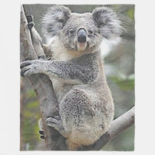 KOALA BEAR FLEECE BLANKET