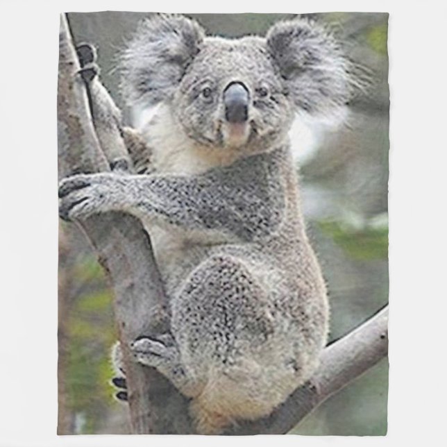 KOALA BEAR FLEECE BLANKET (Front)