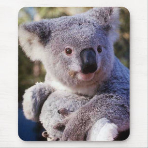 Koala Bear Holding A Koala Bear Mouse Pad
