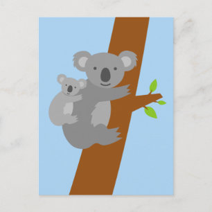 Koala bear illustration postcards