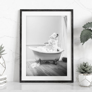 Koala Bear in a bathtub Poster