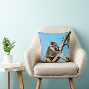 Koala Bear In Old Pine Tree, Cushion
