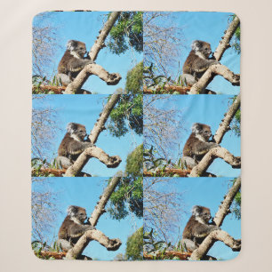 Koala Bear In Old Pine Tree, Sherpa Blanket
