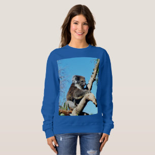 Koala Bear In Old Pine Tree, Sweatshirt