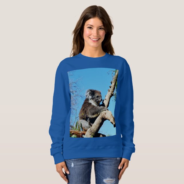 Koala Bear In Old Pine Tree,  Sweatshirt (Front Full)