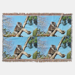 Koala Bear In Old Pine Tree, Throw Blanket