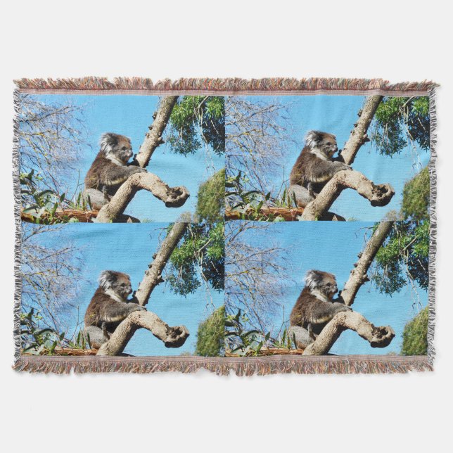 Koala Bear In Old Pine Tree,  Throw Blanket (Front)