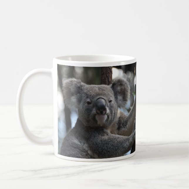 Koala Bear in Tree Coffee Mug (Left)