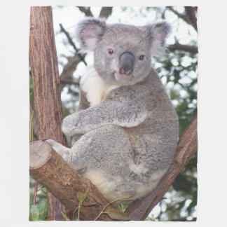 Koala Bear in Tree Fleece Blanket