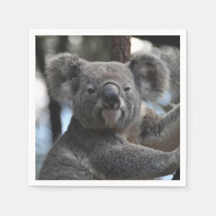 Koala Bear in Tree Napkin