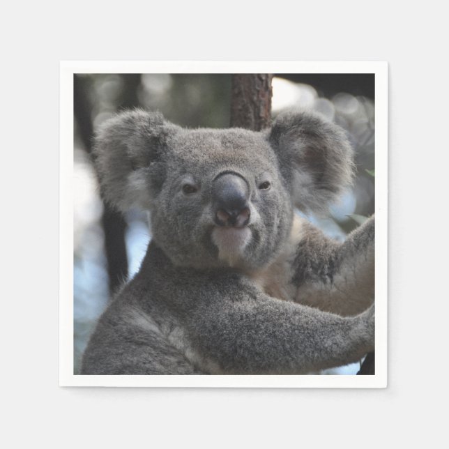 Koala Bear in Tree Napkin (Front)