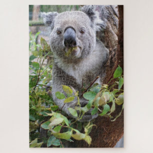 Koala Bear Jigsaw Puzzle