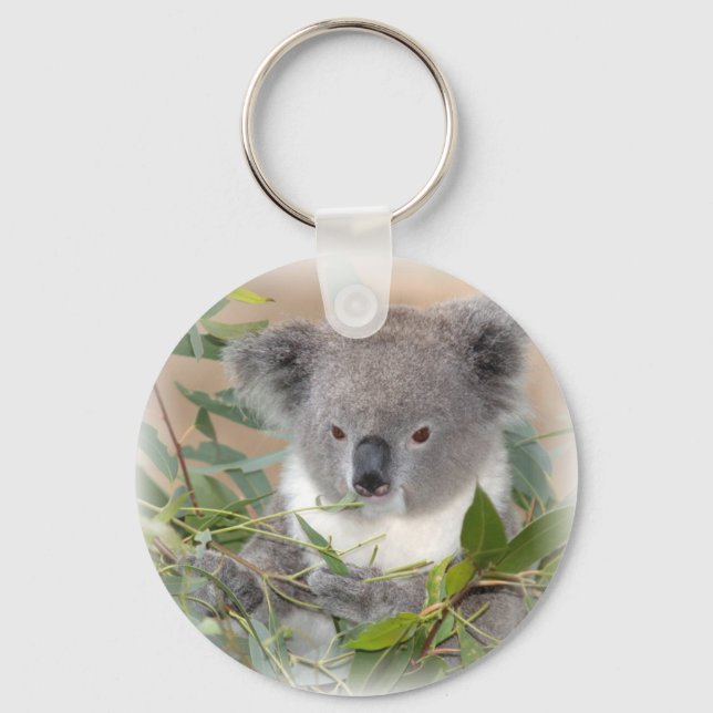 Koala Bear Keychain (Front)