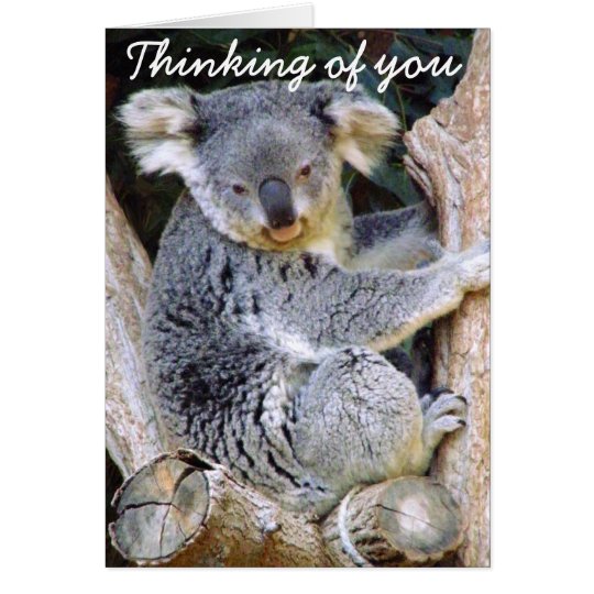 Koala Bear Love_ Card