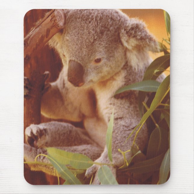 Koala Bear Love Mouse Pad (Front)
