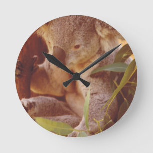 Koala Bear Love Round Clock