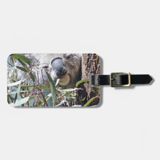 Koala bear luggage tag