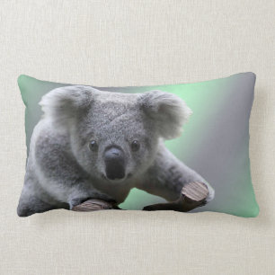 Koala Bear Lumbar Cushion