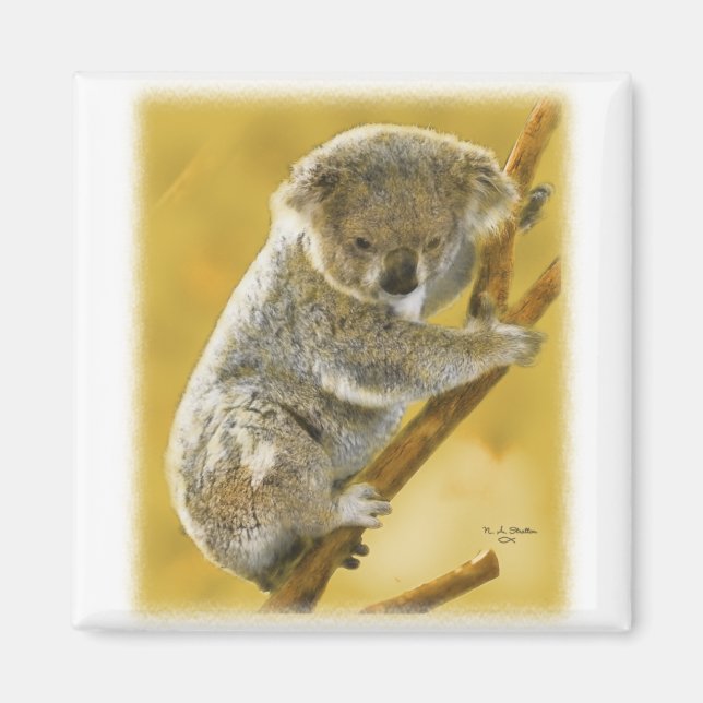 Koala Bear Magnet (Front)