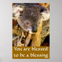 Koala Bear & Message_