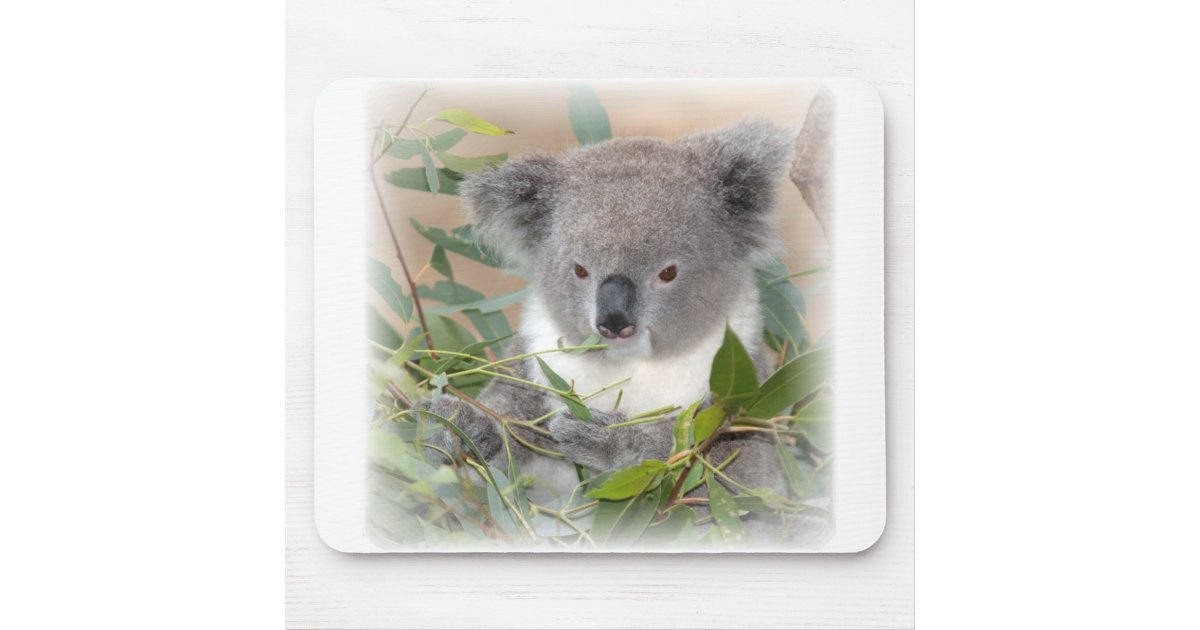 Koala Bear Mouse Pad | Zazzle