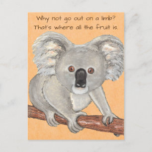 Koala Bear~Out on a Limb Postcard