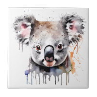 Koala Bear Portrait